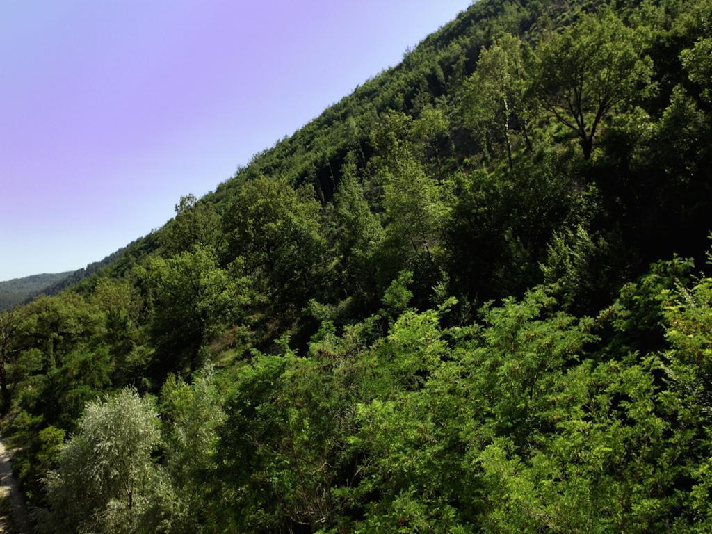 Euro Hotel Pieve Santo Stefano Dış mekan fotoğraf