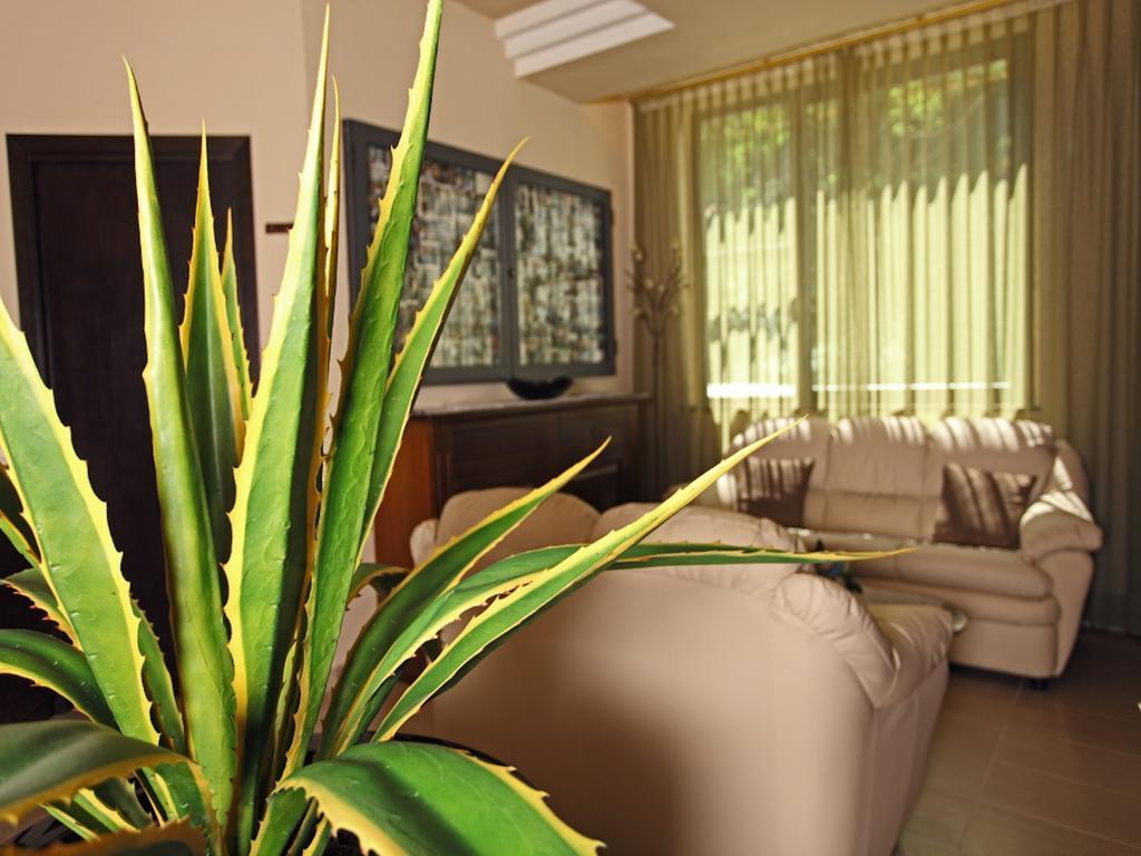 Euro Hotel Pieve Santo Stefano Dış mekan fotoğraf